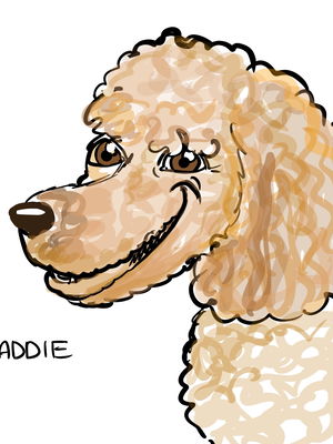 Event C R Caricatures Caricaturist Telford, Shropshire