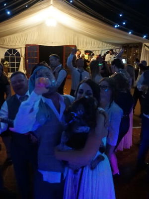 Event Season Function Band West Sussex