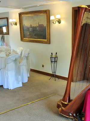 Event M F Harp (Harpist) Harpist Bristol, Somerset