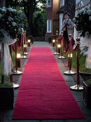 Event Paparazzi Entertainers Street Performer Feltham, London