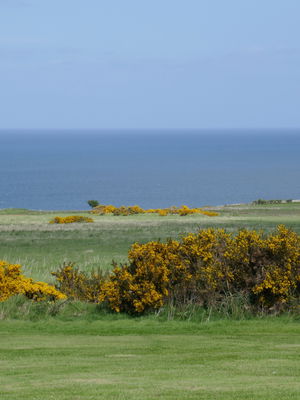 Event Danny C Singer Guitarist West Yorkshire