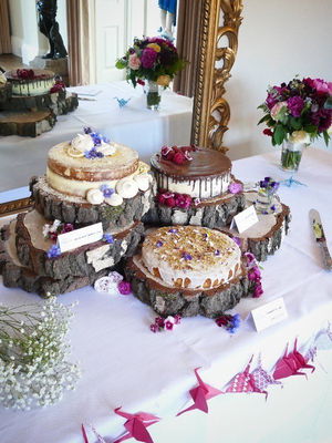 Event Karlos Alexander Wedding DJ Staffordshire