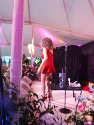 Event Tina Turner Tribute Tina Turner Tribute Act Manchester