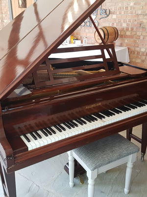 Event Cocktail Jazz Jazz Band Shevington, Greater Manchester