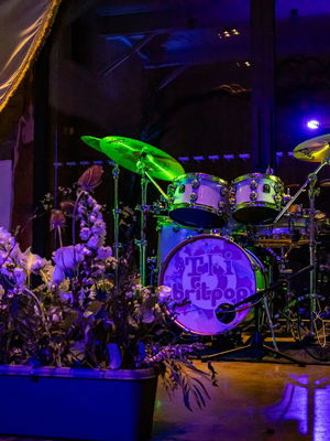 Event Live Forever Rock, Pop & Indie Party Band London