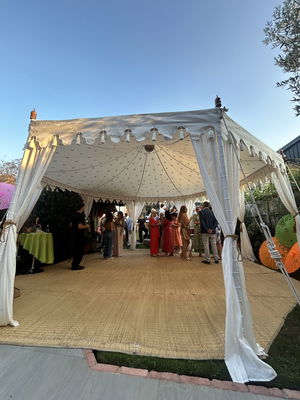 Event Alfie Singer Guitarist East Sussex