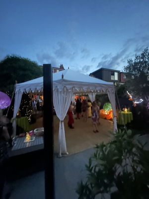 Event Alfie Singer Guitarist East Sussex