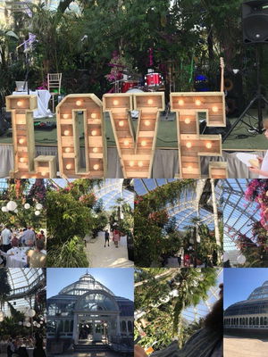 Event The Jukeboxes Function Band London