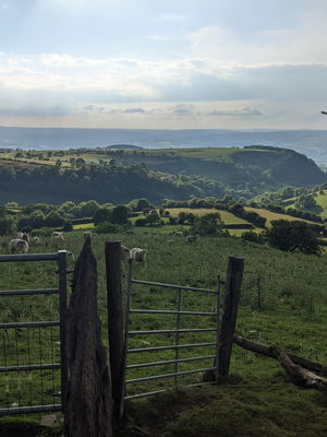 Event Sebastian James Singer Guitarist Cheshire