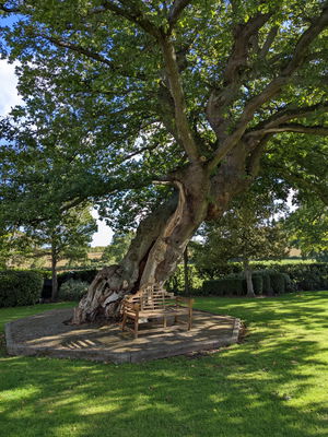 Event Adam The Guitarist Classical Guitarist Cheshire