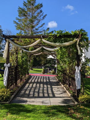 Event Adam The Guitarist Classical Guitarist Cheshire