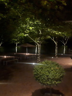 Event Switch Function Band Bristol