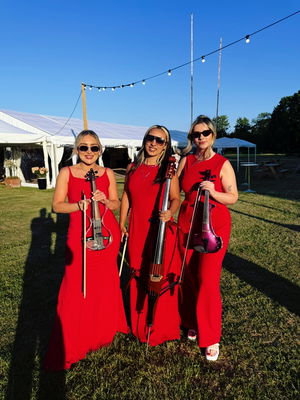 Wedding in Shropshire