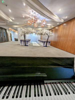 Event Finn McCool Pianist North Yorkshire