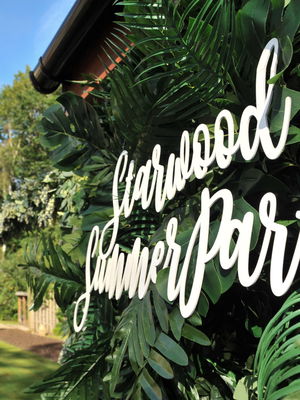 Event Comedy Paparazzi Street Performer East Sussex