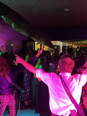 Event Southern Lights Rock and Pop Party Trio Bristol