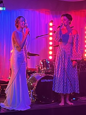 Event Southern Lights Rock and Pop Party Trio Bristol