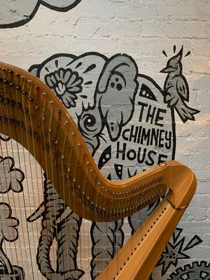 Event The Singing Harpist Harpist Derbyshire