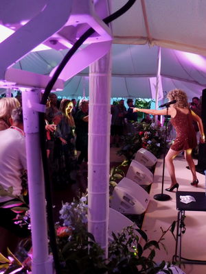 Event Tina Turner Tribute Tina Turner Tribute Act Manchester