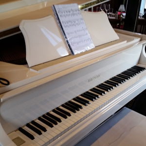 Private Party in London