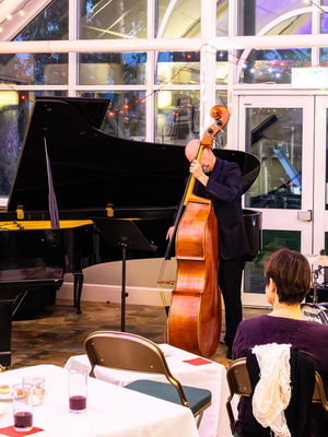 Event Moonlight Serenade Instrumental Jazz Trio Stockton-on-Tees, Durham