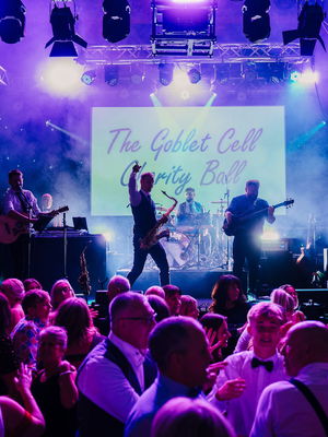 Event Walk The Aisle Function Band Somerset