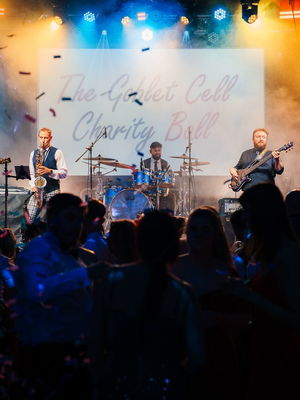 Event Walk The Aisle Function Band Somerset