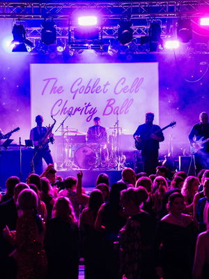 Event Walk The Aisle Function Band Somerset