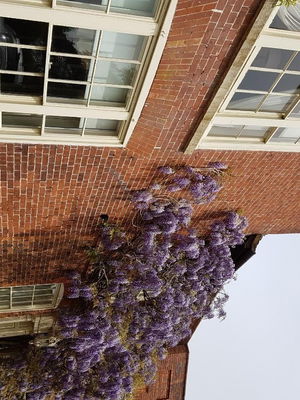 Event Cocktail Jazz Jazz Band Shevington, Greater Manchester