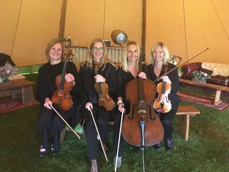 Promo The Rose String Quartet String Quartet Hertfordshire