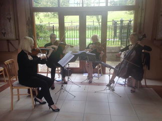 Promo The Rose String Quartet String Quartet Hertfordshire