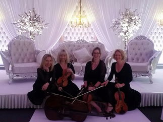 Promo The Rose String Quartet String Quartet Hertfordshire