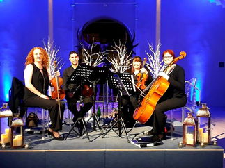 Promo The Stirlingshire String Quartet String Quartet Stirlingshire area