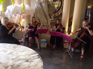 Promo The Rose String Quartet String Quartet Hertfordshire