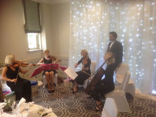 Promo The Rose String Quartet String Quartet Hertfordshire