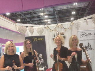 Promo The Rose String Quartet String Quartet Hertfordshire