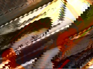 Promo Lexa T Singer Guitarist London