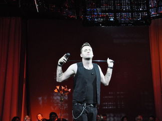 Promo (Robbie Williams) A Tribute To Robbie Williams Robbie Williams Tribute Act Berkshire