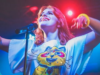 Promo (ABBA) Swede Dreamz Abba Tribute Band Cumbria