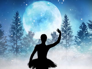 Promo The Christmas Shadow Show Christmas Entertainer Dorset