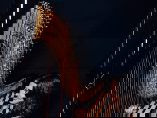 Promo Francesca Harp Harpist East Yorkshire