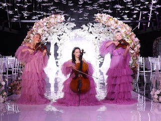 Promo Inferno Strings String Quartet Manchester