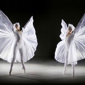 Promo Crystal Ballerinas  London