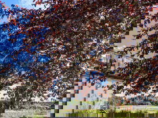 Promo The Foss Quartet String Quartet North Yorkshire