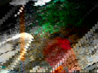 Promo Abele Strings String Quartet Hertfordshire