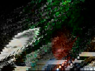 Promo Abele Strings String Quartet Hertfordshire