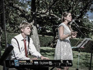 Promo Evelyn and The Vipers Rock, Pop and Soul Wedding Function Band Bristol
