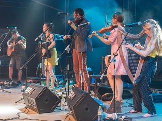 Promo Highland Harp Harpist North Lanarkshire