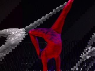 Promo Contortionist Pixie Contortionist London