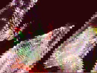 Promo Fire and Glow Performers Circus Performer Leicestershire